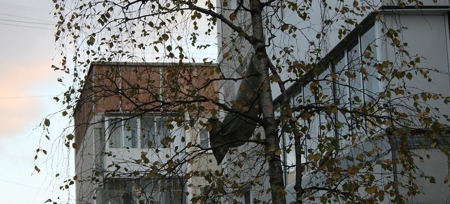 Жители одного из домов в Заречном районе недовольны строительным мусором под окнами