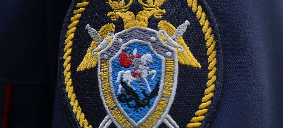 Глава СК России затребовал доклад по делу об убийстве девочки в Краснотурьинске
