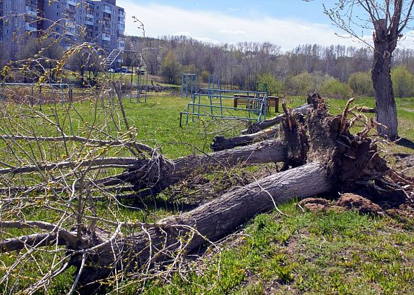 В Краснотурьинске срубят 44 дерева 
