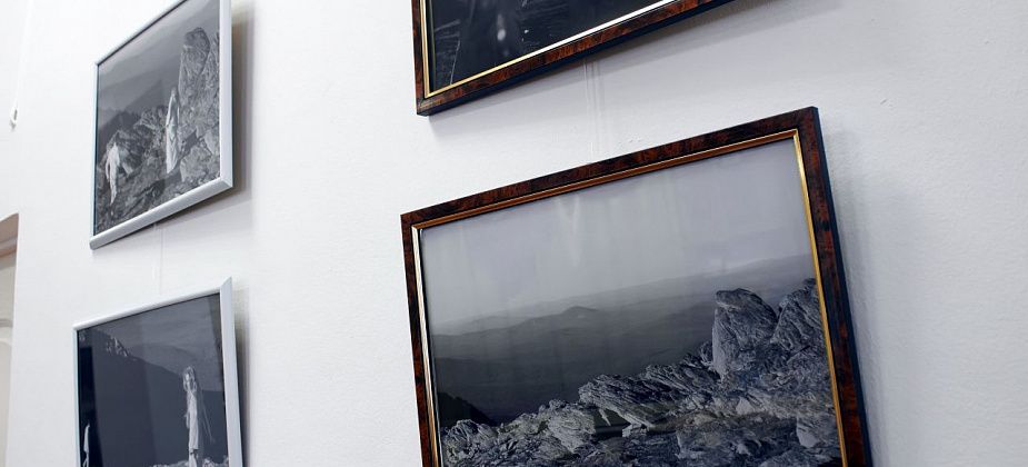 “Снимки посвящены любви”: в библиотеке открылась фотовыставка Елены Костиной