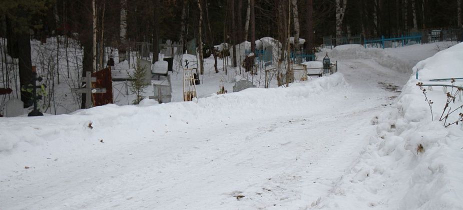 Кладбища будут чистить 9 раз в году