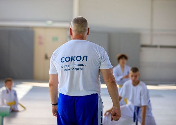 Проекту «Сокол» исполнилось три года