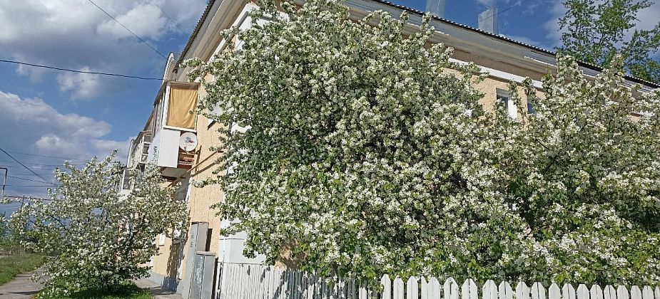 Приметы на 1 июня. Лепим вареники, не ругаем погоду