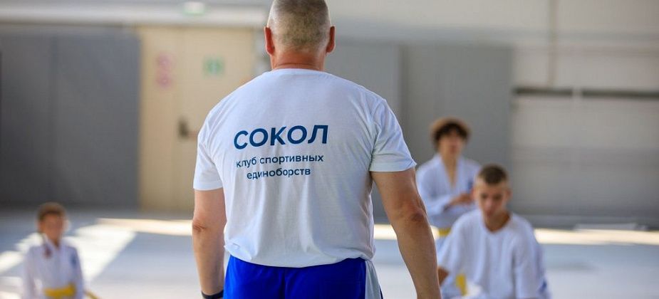 Проекту «Сокол» исполнилось три года