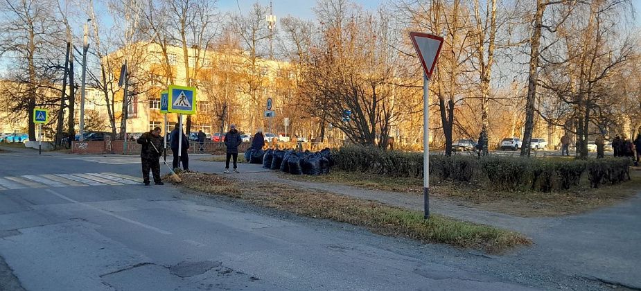 Более 70 организаций приняли участие в осенних субботниках