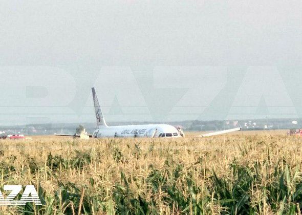 В Подмосковье прямо на поле экстренно сел самолет «Уральских авиалиний»: онлайн-трансляция