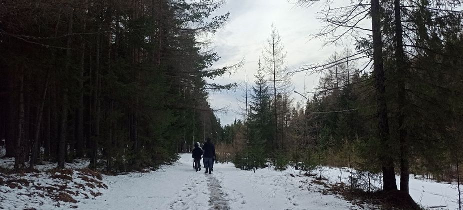 Приметы на 5 мая. Едим лук, поддерживаем порядок дома