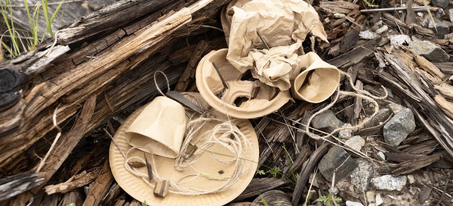 Нашли подрядчика по уборке свалок