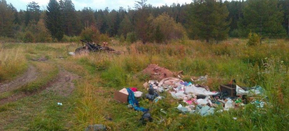 Уборка несанкционированных свалок обойдется в миллион рублей