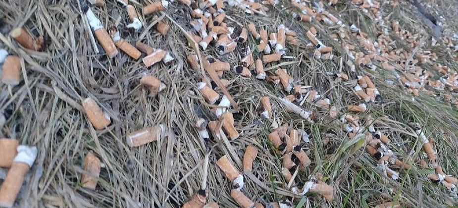 Приходится выбирать: наступить в лужу или собачью «мину». Тротуары снова вызывают возмущения