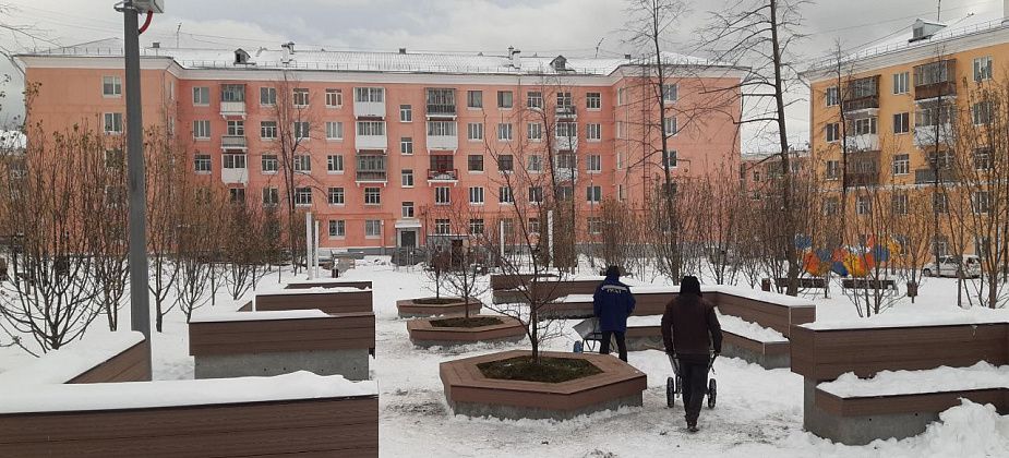 Говорят, что можно. Строители Тихомировского парка высаживают деревья в снег