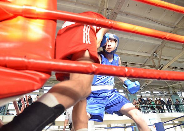 Краснотурьинские боксеры победили соперников из Казахстана