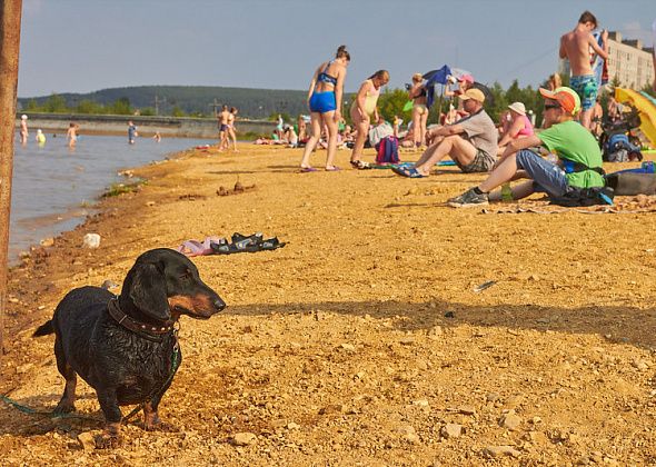 В Краснотурьинске водоемы и набережные причислили к опасным для детей местам