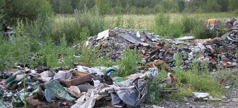 На уборке несанкционированных свалок город сэкономит более 500 тысяч