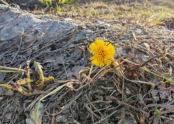 От 20-градусной жары к снегу. Синоптики предупреждают о смене погоды на севере области