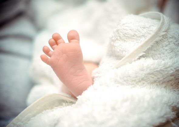 Изменения февраля: рост выплат, ужесточение миграционного контроля и новые правила для кооперативов