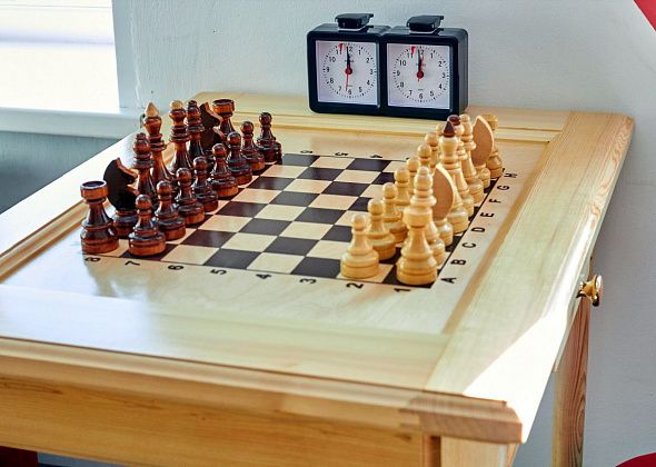 Школьник из Краснотурьинска победил в шахматном турнире в Восточном