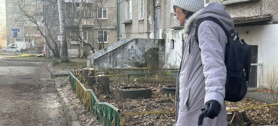 «Устроили лесоповал!» После спила деревьев во дворе жильцы разделились на два лагеря