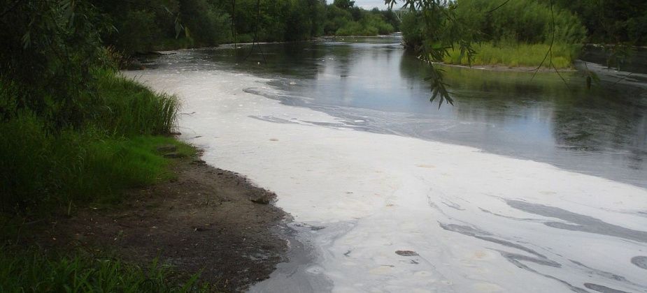 "Без sms и регистрации, но плюсиком к карме и надеждой". Почему я поддерживаю проект "Грязные воды"