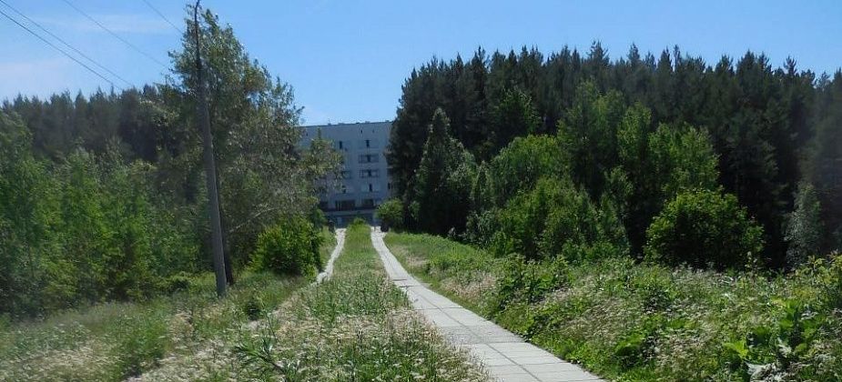 «Высадили и все - забыли...»: горожанка беспокоится за состояние аллеи в Заречном районе