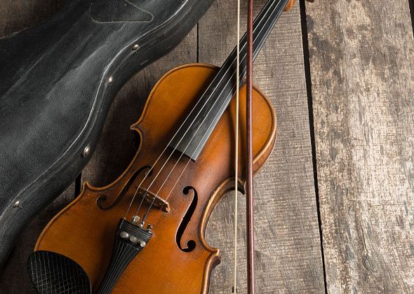 В виртуальном зале библиотеки покажут скрипичный концерт