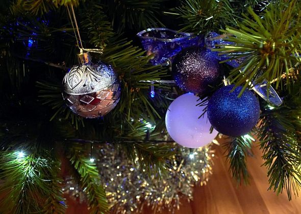 Как поучаствовать в акции «Елка желаний» в 2025 году