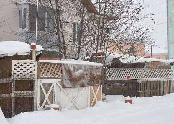 Щенки за досками: решение суда о сносе уперлось в закрытую дверь