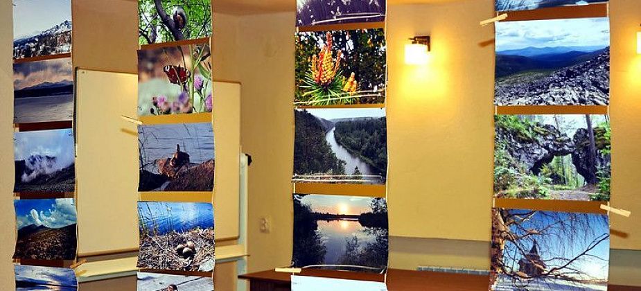 В городском фотоконкурсе "Северный взгляд" участвовали 60 человек