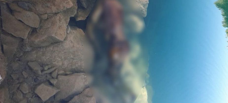 В карпинском карьере всплыл труп человека