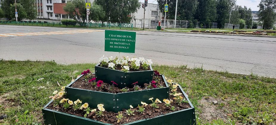 В Краснотурьинске стали реже воровать рассаду с клумб