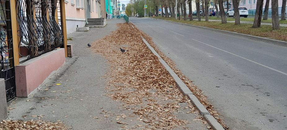 Стартовали осенние субботники