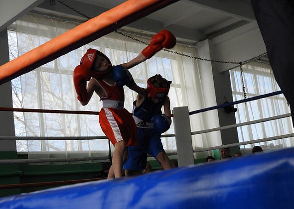 Краснотурьинские боксеры удачно выступили в Североуральске