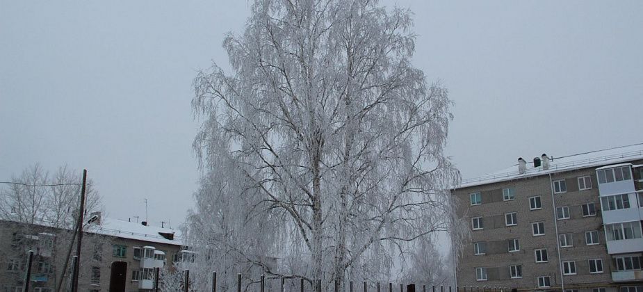 Ночью - до -40. Синоптики прогнозируют крепкие морозы на севере области