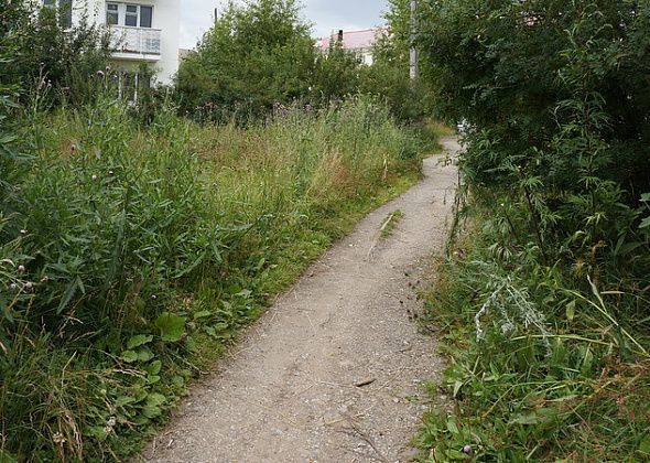 За нескошенную траву оштрафовали 8 горожан