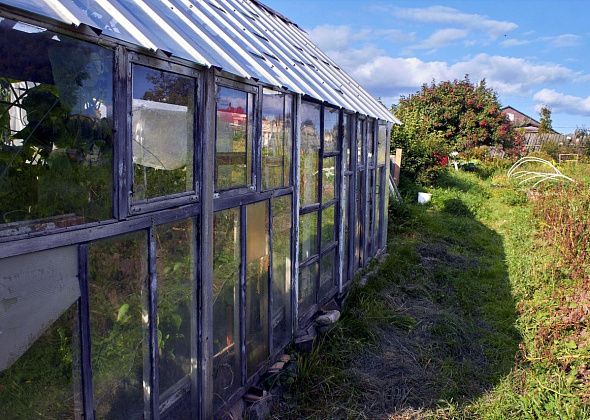 Штрафы за неиспользуемые дачные участки и за постройки не по назначению пропишут в КоАП