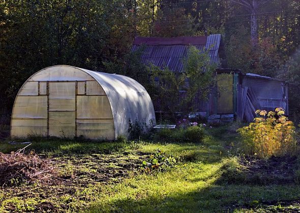 Садоводческое товарищество выплатит горожанке 5000 рублей