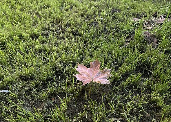 Похолодание на севере области ожидается с 23 сентября