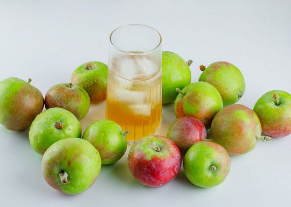 В Краснотурьинске отметили День беременных: будущим мамам вручили яблоки и соки