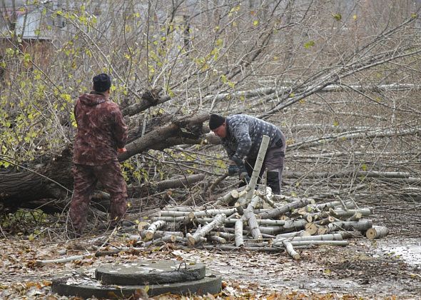 Подрезать и валить деревья в Краснотурьинске будет ИП Осинцев