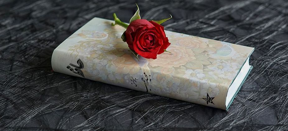 Молодежный поэтический баттл пройдет 27 ноября