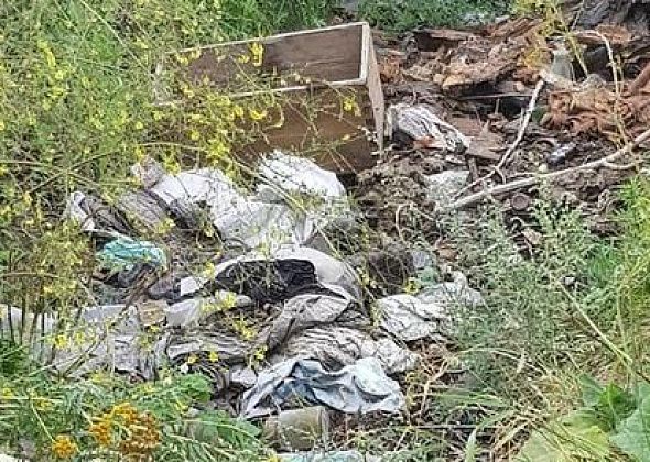 Почти два миллиона рублей «Рифей» потратит на уборку свалок между поселками