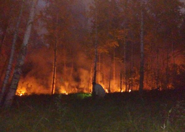 Евгений Куйвашев дал ряд поручений в связи пожароопасной ситуацией в регионе