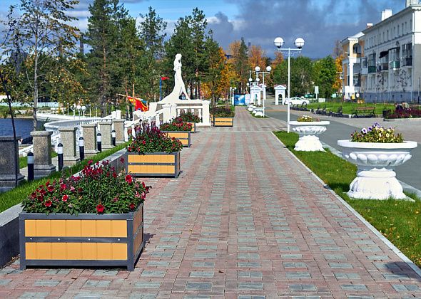 В Краснотурьинске уже разыгрывают контракт на обработку городских территорий от клещей