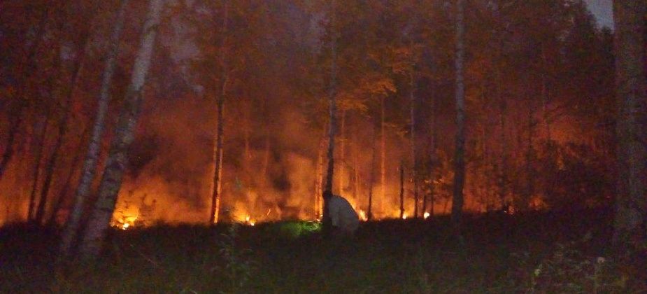 Евгений Куйвашев дал ряд поручений в связи пожароопасной ситуацией в регионе