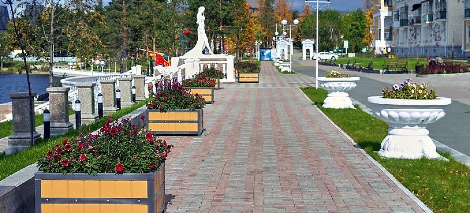 В Краснотурьинске уже разыгрывают контракт на обработку городских территорий от клещей
