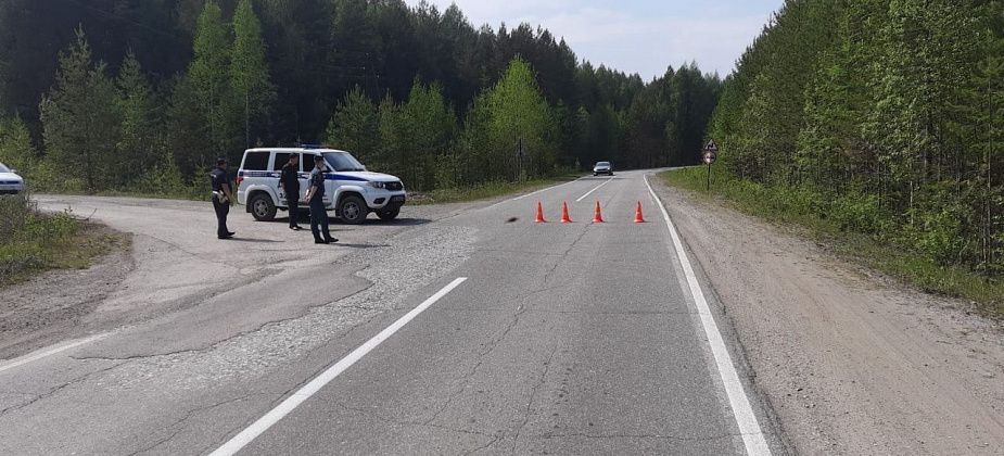 Запрет на походы в лес под Краснотурьинском контролируют 28 групп