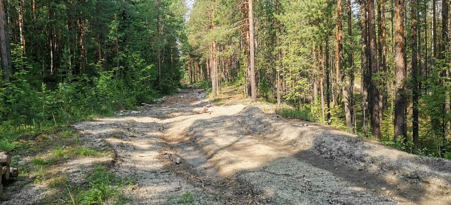 Приезжает глава департамента по охране животного мира