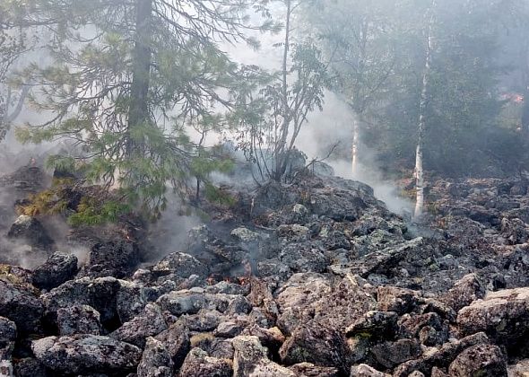 В Карпинске тоже горят леса: зарегистрировано девять лесных пожаров