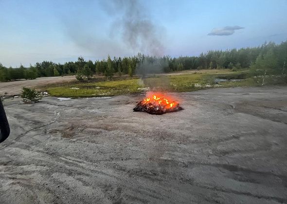 В пригороде Краснотурьинска горел мусор