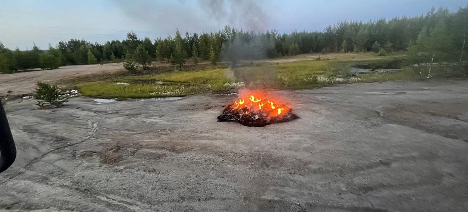 В пригороде Краснотурьинска горел мусор